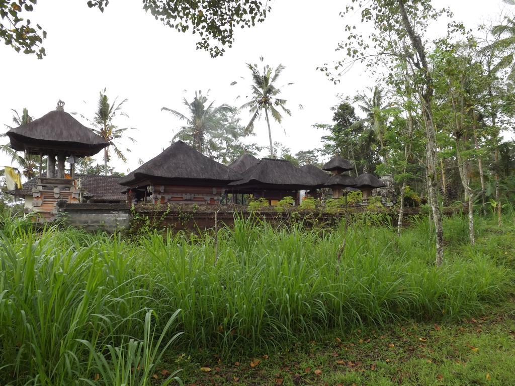 Uma Nandhi Ubud Natural Cottage Exterior foto